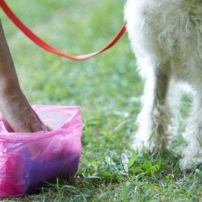 PET WASTE REMOVAL